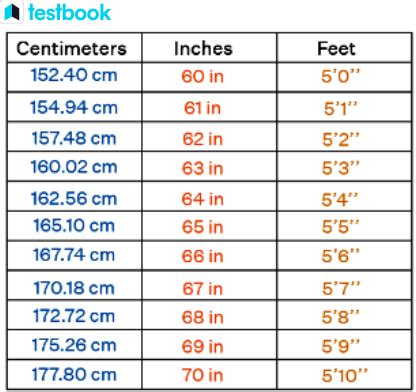 169 cm in Feet: Simple Conversion Guide