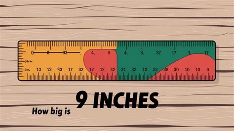 Discover the Lifestyle of 5'9 Individuals: Secrets Revealed