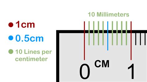 Convert 5mm to Inches Quickly and Accurately