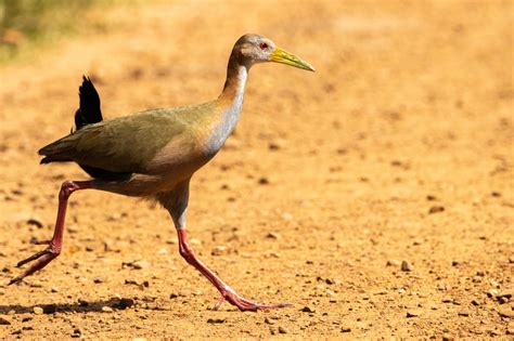 Discover the Power of Aramides: Revolutionary Material