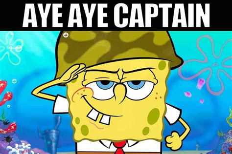 Aye Aye Captain: Secrets of Command