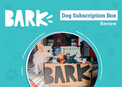 Explore Exciting Opportunities at Barkbox Careers Today