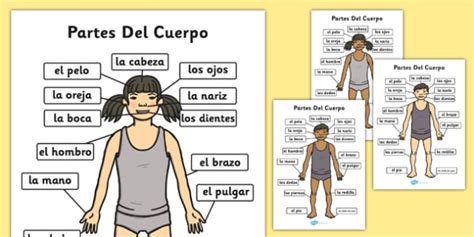 Master Body Parts in Spanish Quickly!