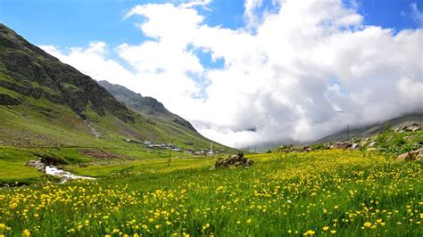 Centra Health Employee Links