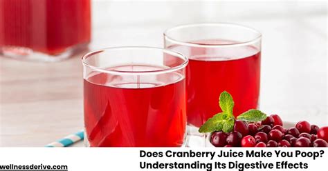 Uncover the Truth: Does Cranberry Juice Really Make You Pee More?