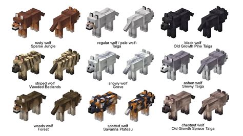 Dog Types Minecraft