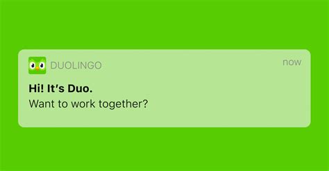 Duolingo Careers: Insider Secrets Revealed