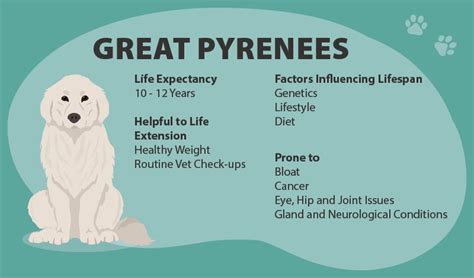 Great Pyrenees Health Issues