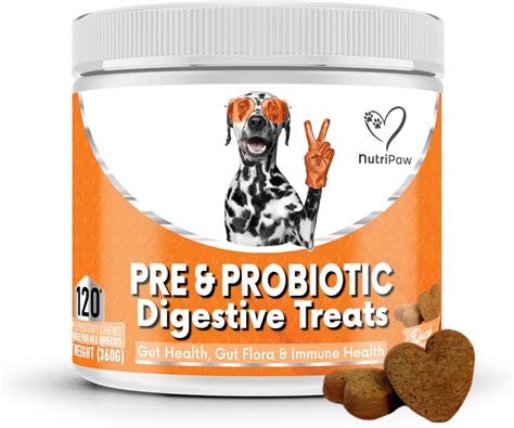 Gut Health For Dogs