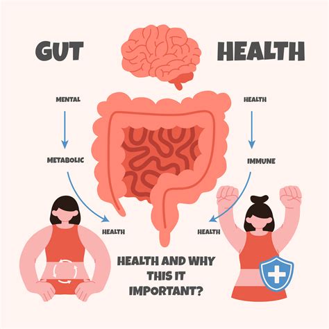 Gut Health Secrets Com