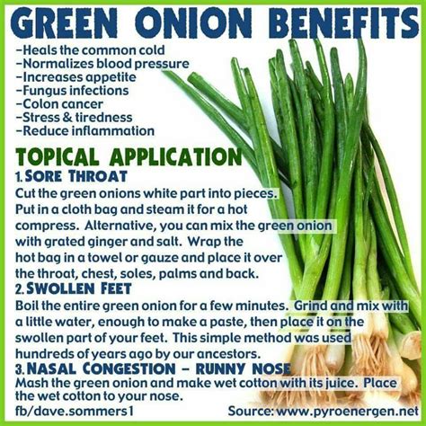 Health Benefits Of Green Onions