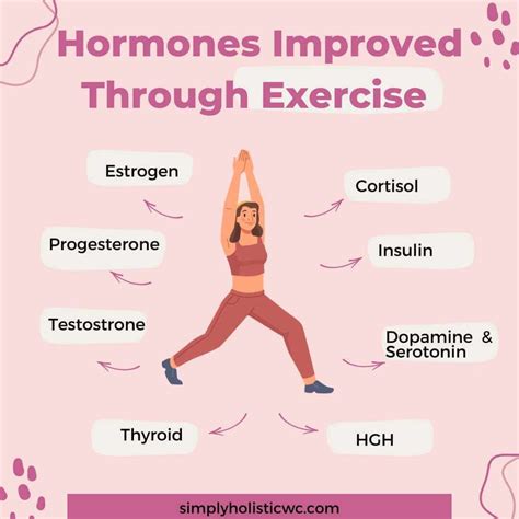 Hormone Health  When To Work Out