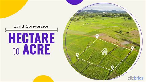 Simple Conversion: How Many Acres in One Hectare Explained