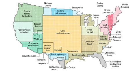 How Many Acres is America? Explore Size Mystery