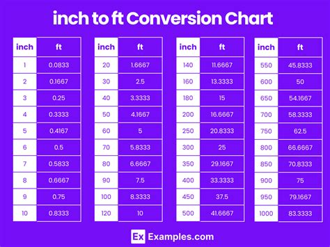 40 Inches to Feet: Simple Conversion Insight