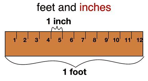 Discover How Many Feet in 30 Inches Quickly