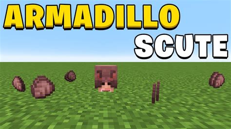How To Get Armadillo Shell Minecraft