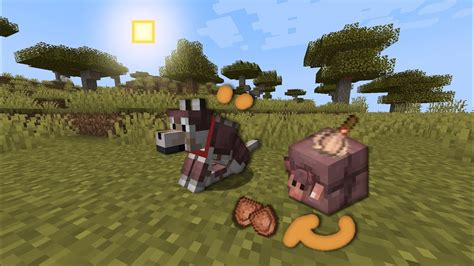 How To Get Dog Armor In Minecraft