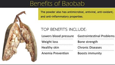 Is Baobab Good For Heart Health