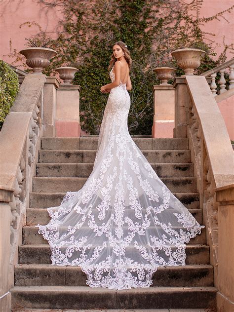Long Wedding Dresses with Train: Ultimate Elegance