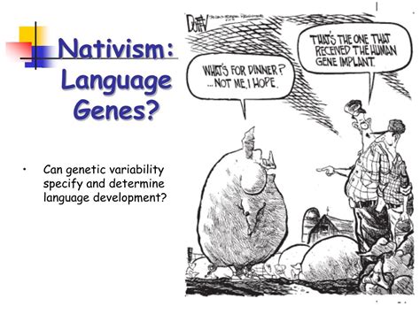 Nativism in Language History Unveiled: A Fascinating Linguistic Journey
