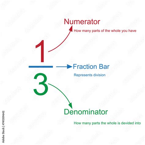 Numerator and Denominator Unveiled in Fractions