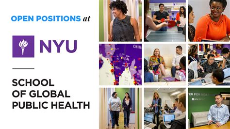 Nyu Public Health Positions