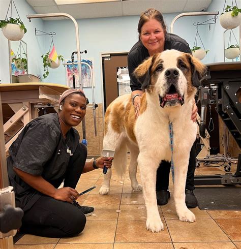 Discover Lucrative PetSmart Careers Today!