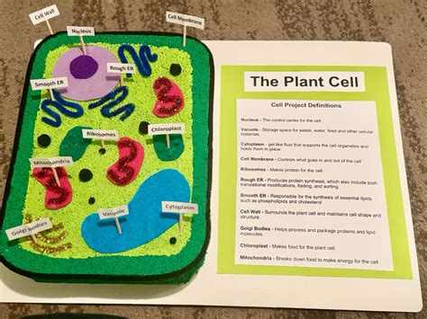 Discover Breakthroughs in Plant Cell Project Innovations