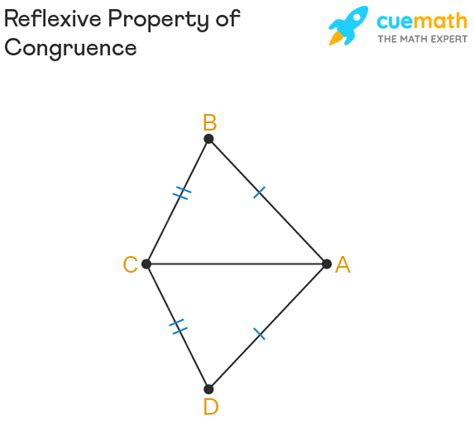 Unraveling the Reflexive Property of Congruence: Key Geometry Insight Revealed