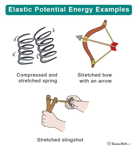 Elastic Potential Energy Explained for Kids