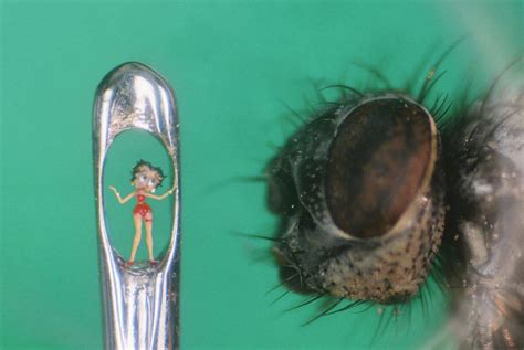 Tiny Wonders: Smallest Thing in the World