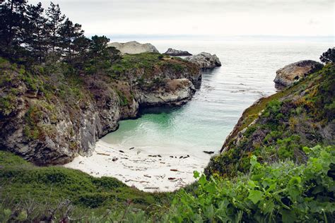 The State of Natural: Unearthing Nature's Hidden Wonders