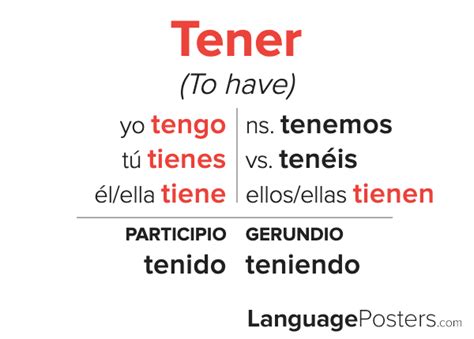 Mastering Tener Verb Conjugation: Essential Guide for Fluent Spanish Speakers