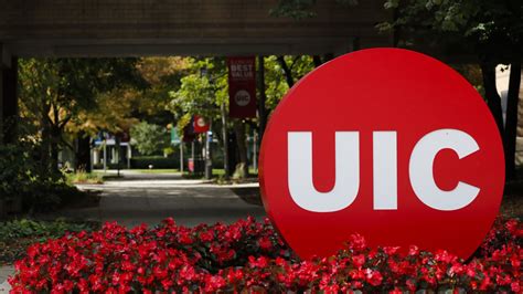 UIC Directory: Discover Your Path to Academic Success