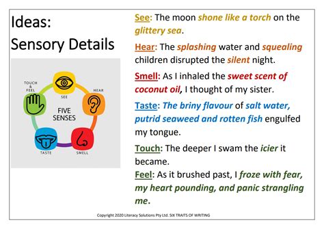 Unlocking What Are Sensory Details in Writing