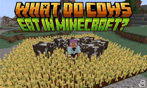 What Does Cows Eat In Minecraft