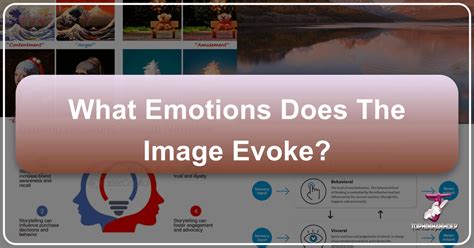 Exploring What Emotions Does the Image Evoke in Viewers