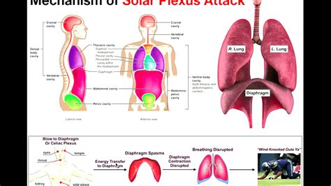 Understanding What Happens When the Wind Is Knocked Out of You: A Professional Insight