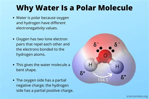 Why Water's Polarity Matters: Simple Explanation