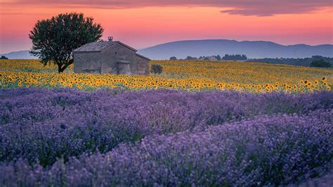 Best Windows Software France: Top Picks for 2023