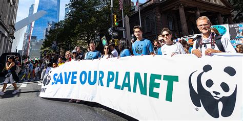 Explore Exciting WWF Careers Opportunities Today