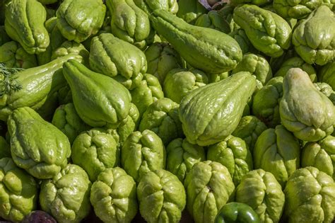 Xuxu Revolution: Unleashing the Future Today